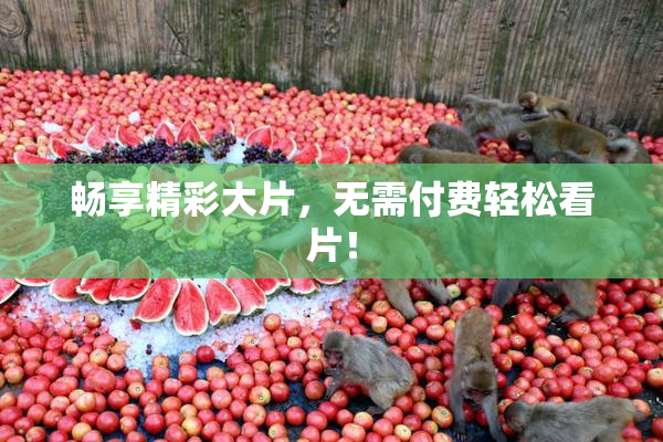 畅享精彩大片，无需付费轻松看片！