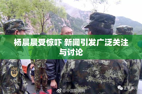 杨晨晨受惊吓 新闻引发广泛关注与讨论