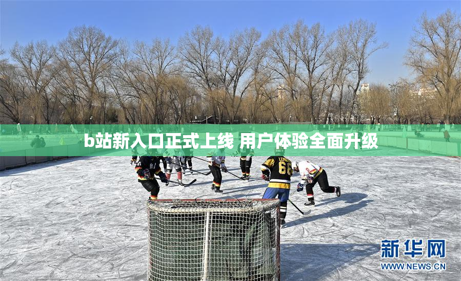 b站新入口正式上线 用户体验全面升级
