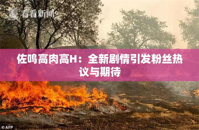 佐鸣高肉高H：全新剧情引发粉丝热议与期待