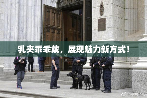 乳夹乖乖戴，展现魅力新方式！
