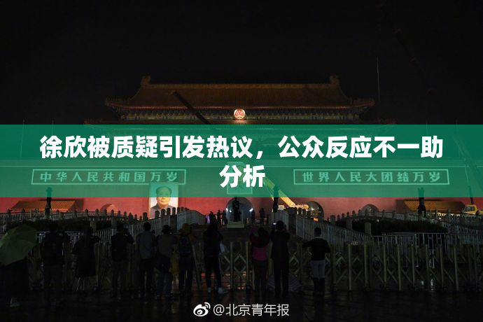 徐欣被质疑引发热议，公众反应不一助分析