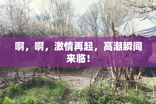 啊，啊，激情再起，高潮瞬间来临！