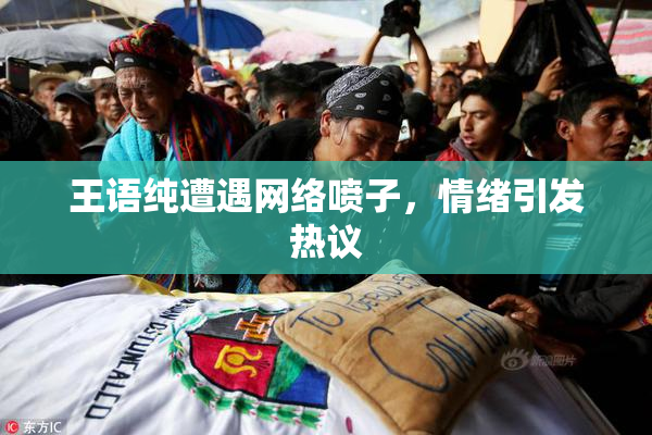 王语纯遭遇网络喷子，情绪引发热议