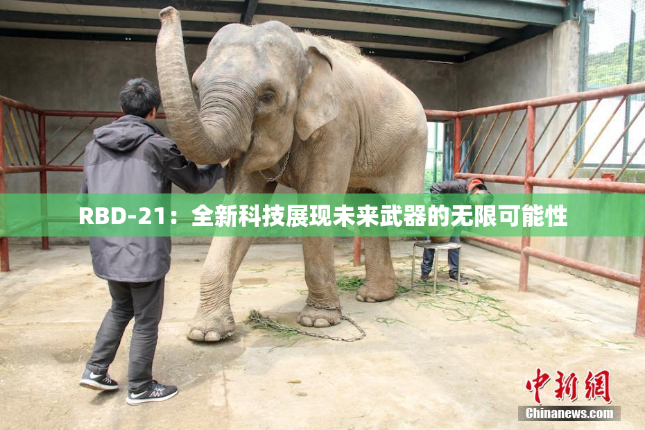 RBD-21：全新科技展现未来武器的无限可能性
