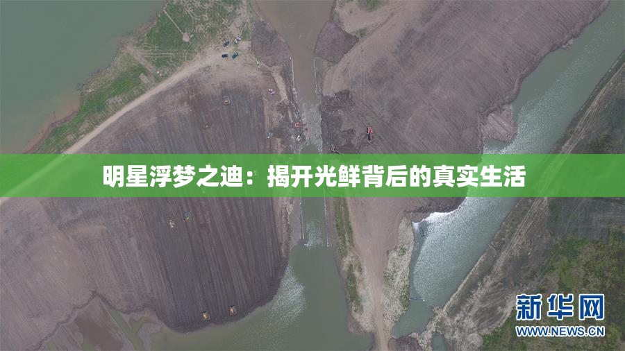 明星浮梦之迪：揭开光鲜背后的真实生活