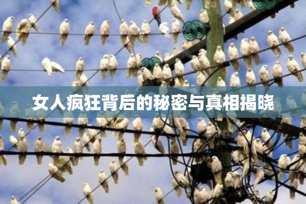 女人疯狂背后的秘密与真相揭晓