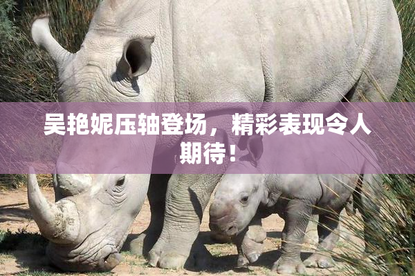 吴艳妮压轴登场，精彩表现令人期待！