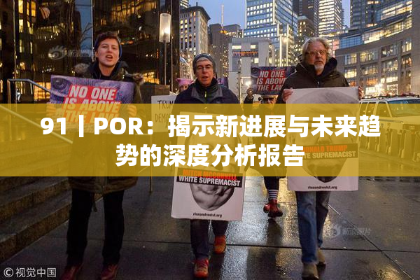 91丨POR：揭示新进展与未来趋势的深度分析报告