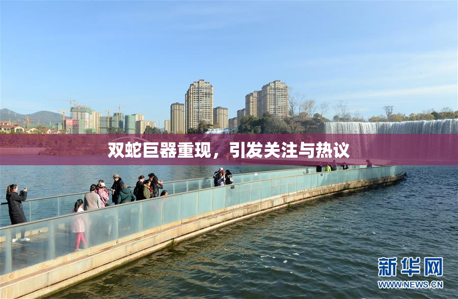 双蛇巨器重现，引发关注与热议