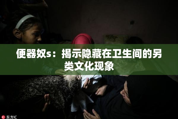 便器奴s：揭示隐藏在卫生间的另类文化现象