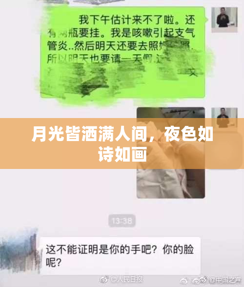 月光皆洒满人间，夜色如诗如画
