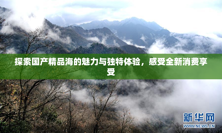 探索国产精品海的魅力与独特体验，感受全新消费享受