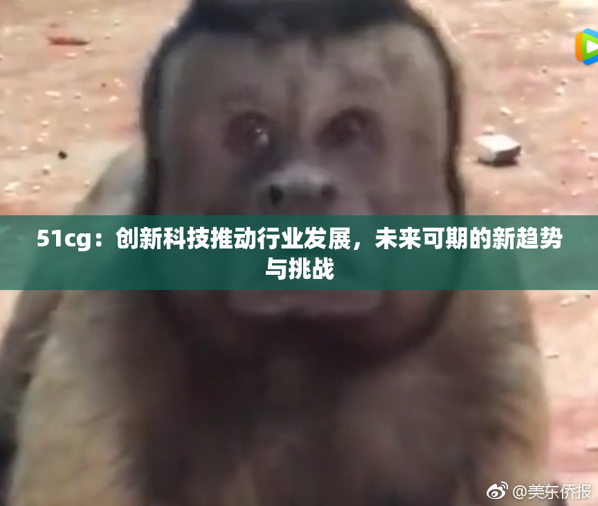 51cg：创新科技推动行业发展，未来可期的新趋势与挑战