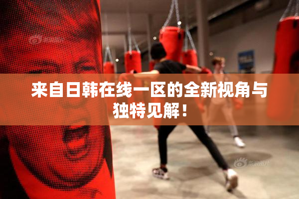 来自日韩在线一区的全新视角与独特见解！