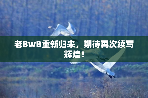 老BwB重新归来，期待再次续写辉煌！