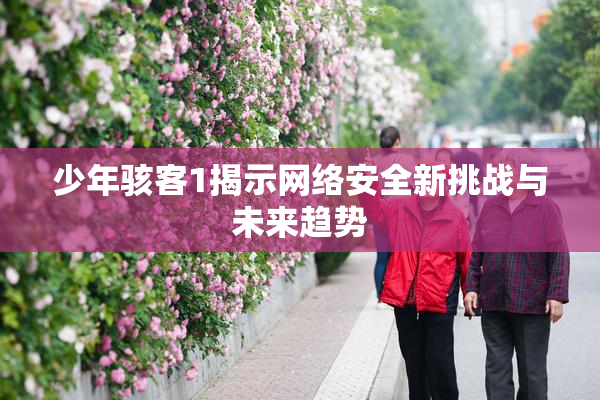 少年骇客1揭示网络安全新挑战与未来趋势