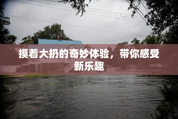 摸着大扔的奇妙体验，带你感受新乐趣