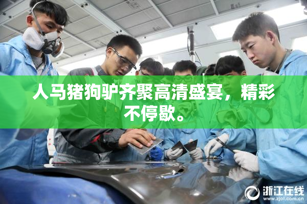 人马猪狗驴齐聚高清盛宴，精彩不停歇。