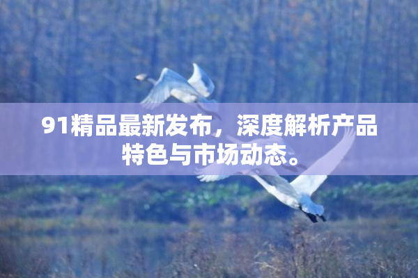 91精品最新发布，深度解析产品特色与市场动态。