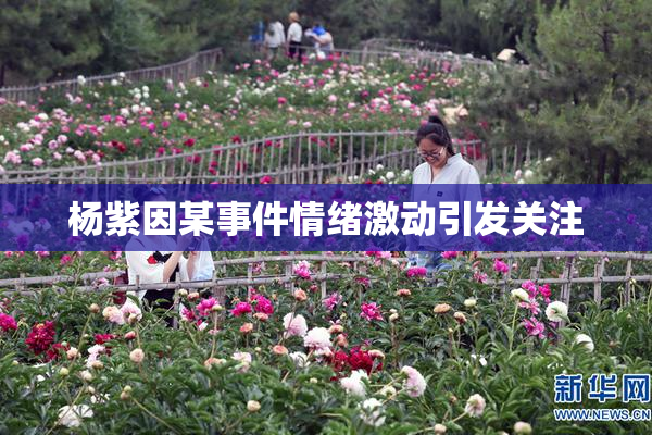杨紫因某事件情绪激动引发关注