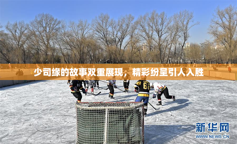 少司缘的故事双重展现，精彩纷呈引人入胜