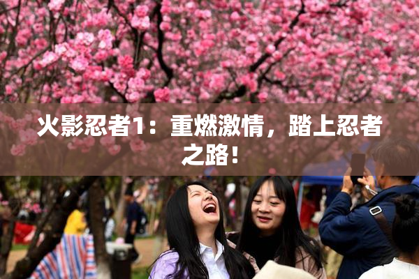 火影忍者1：重燃激情，踏上忍者之路！