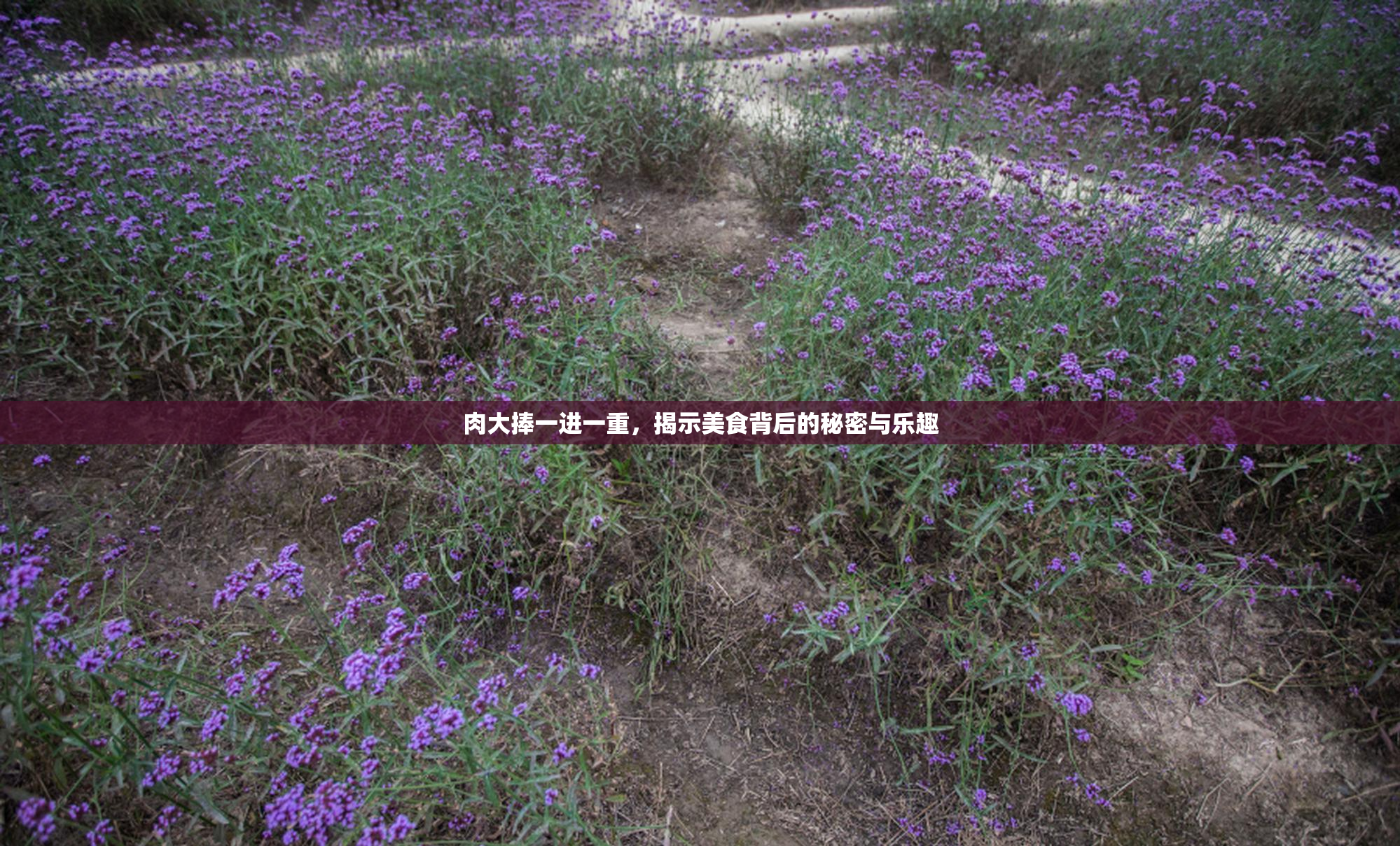 肉大捧一进一重，揭示美食背后的秘密与乐趣