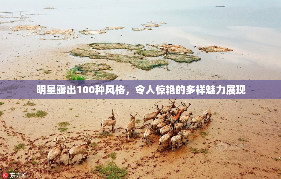 明星露出100种风格，令人惊艳的多样魅力展现