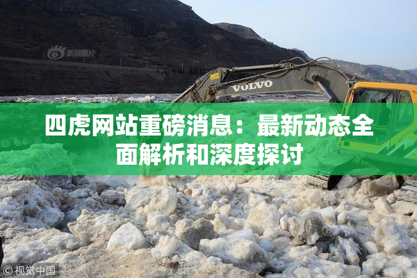 四虎网站重磅消息：最新动态全面解析和深度探讨