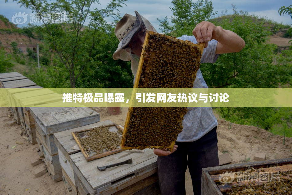 推特极品曝露，引发网友热议与讨论