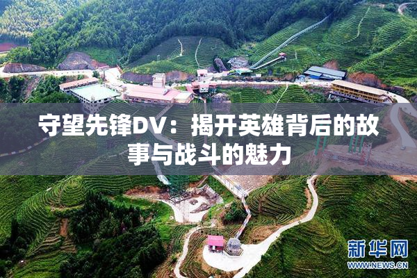 守望先锋DV：揭开英雄背后的故事与战斗的魅力