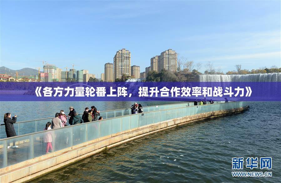 《各方力量轮番上阵，提升合作效率和战斗力》