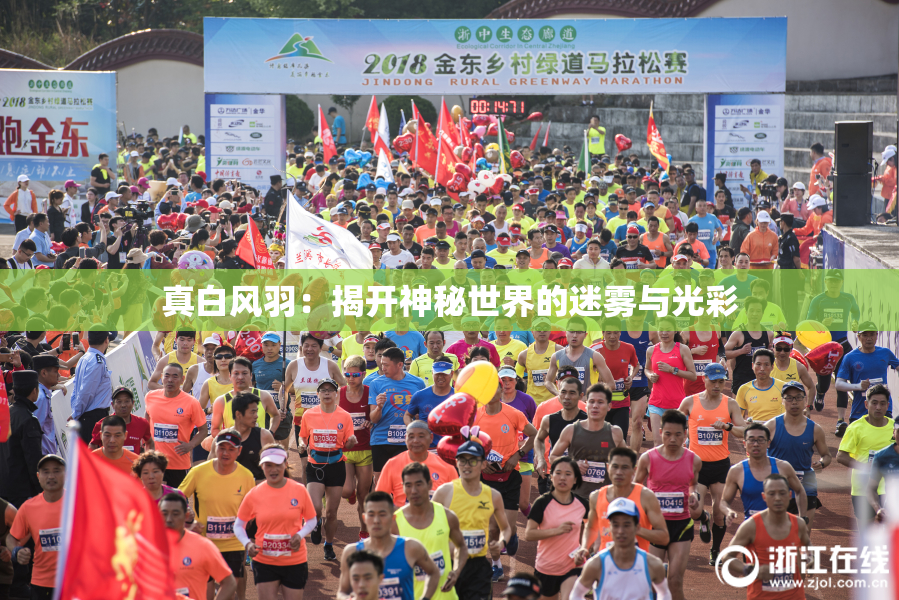 真白风羽：揭开神秘世界的迷雾与光彩