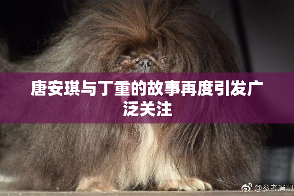 唐安琪与丁重的故事再度引发广泛关注