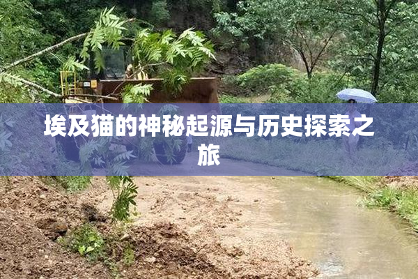 埃及猫的神秘起源与历史探索之旅
