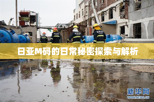 日亚M码的日常秘密探索与解析
