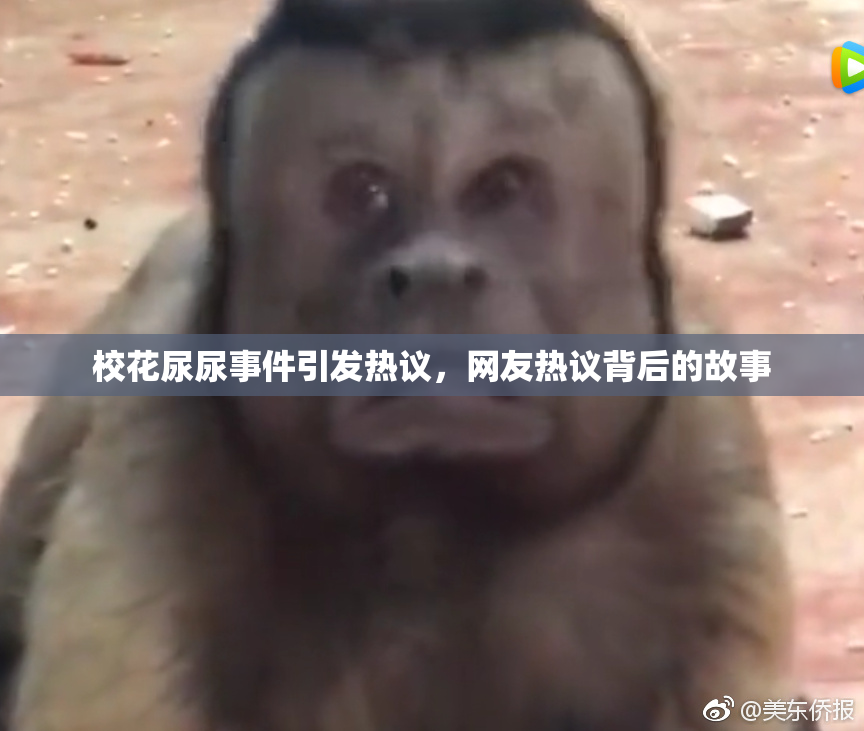 校花尿尿事件引发热议，网友热议背后的故事