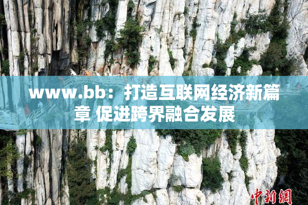 www.bb：打造互联网经济新篇章 促进跨界融合发展