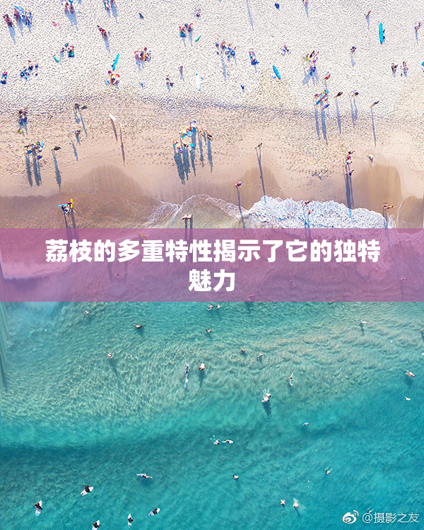 荔枝的多重特性揭示了它的独特魅力