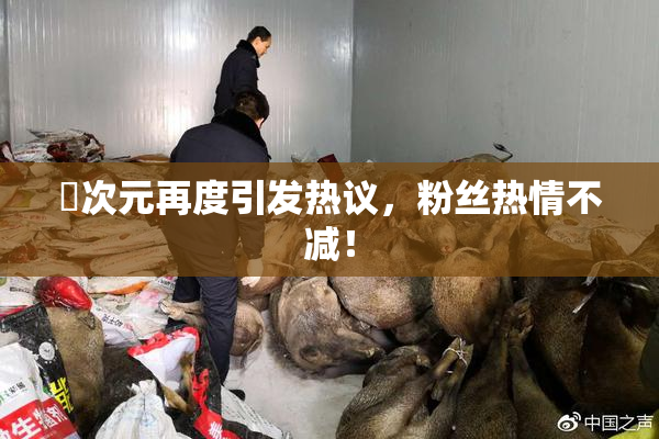 囧次元再度引发热议，粉丝热情不减！