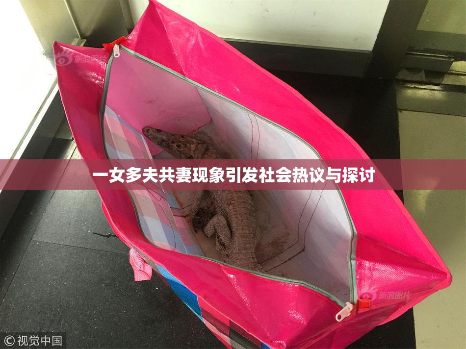 一女多夫共妻现象引发社会热议与探讨