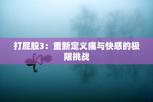 打屁股3：重新定义痛与快感的极限挑战