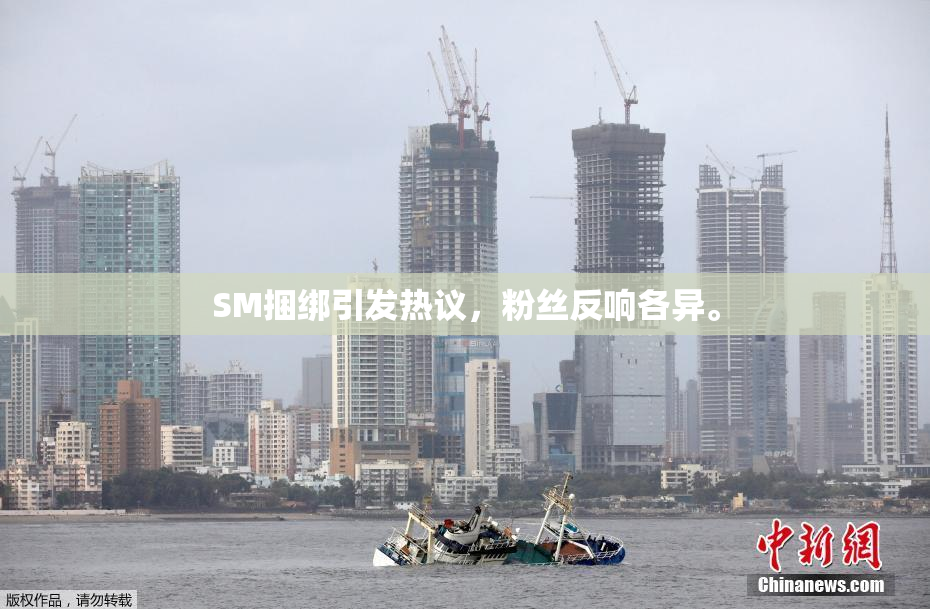 SM捆绑引发热议，粉丝反响各异。