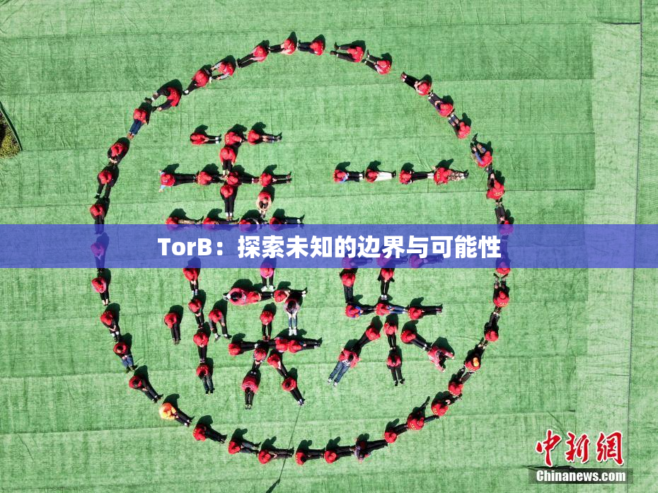 TorB：探索未知的边界与可能性
