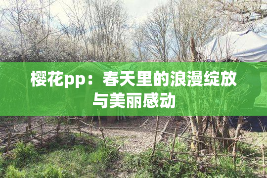 樱花pp：春天里的浪漫绽放与美丽感动