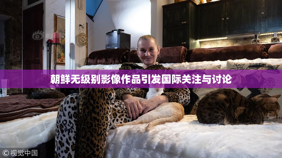 朝鲜无级别影像作品引发国际关注与讨论