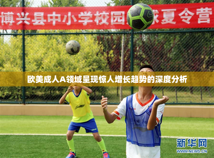 欧美成人A领域呈现惊人增长趋势的深度分析
