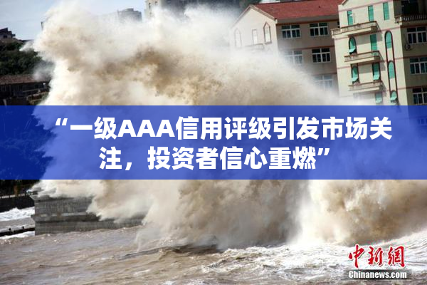 “一级AAA信用评级引发市场关注，投资者信心重燃”