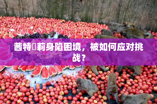 茜特菈莉身陷困境，被如何应对挑战？